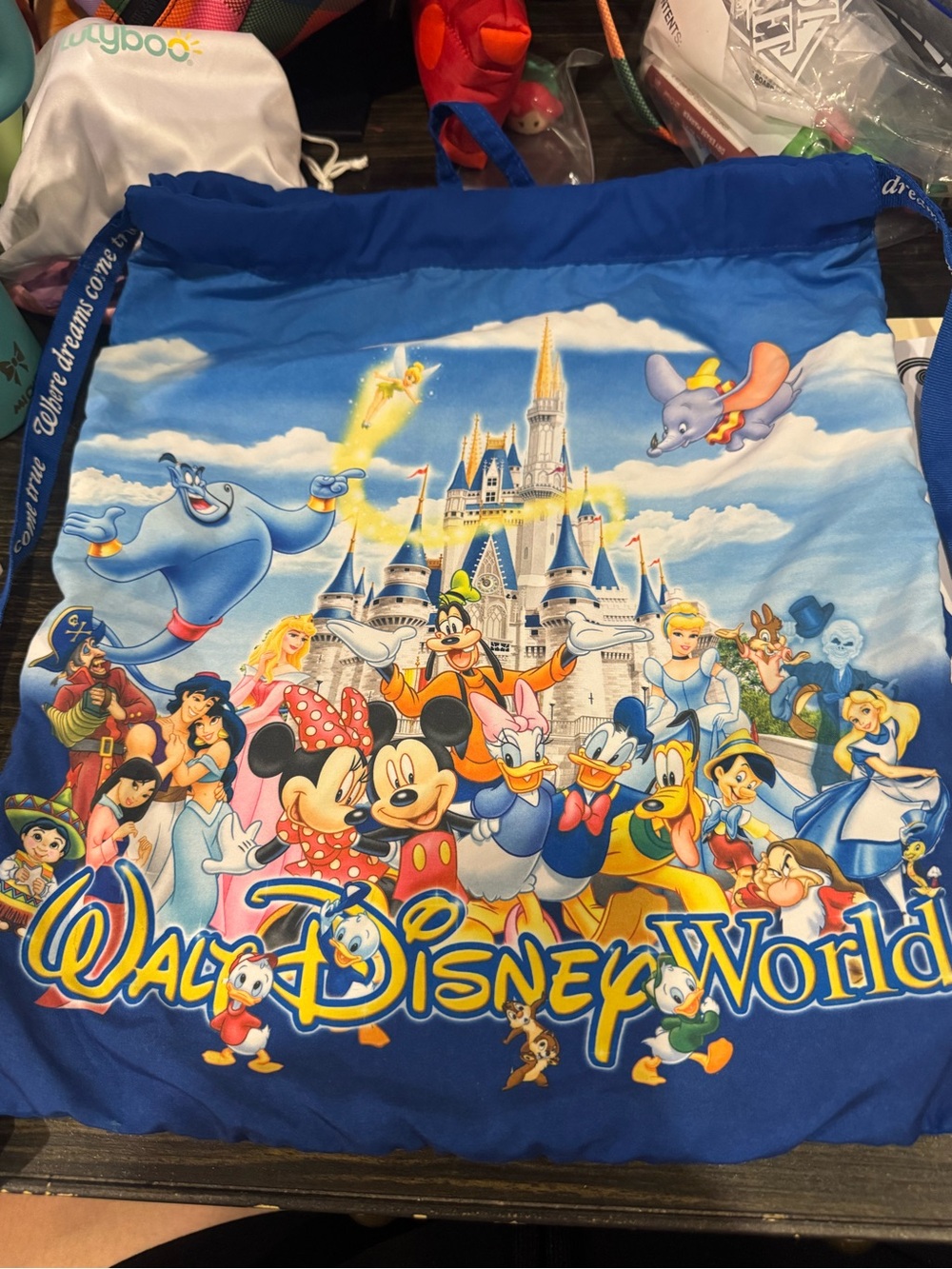 Walt Disney World Drawstring bag